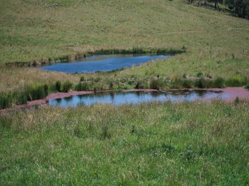Inverell NSW 2360