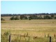 Gum Flat NSW 2360