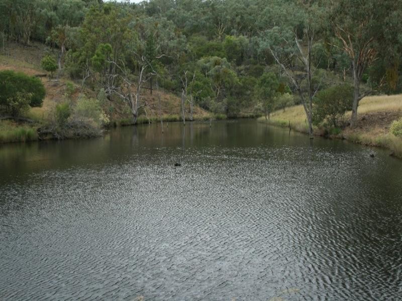 Inverell NSW 2360