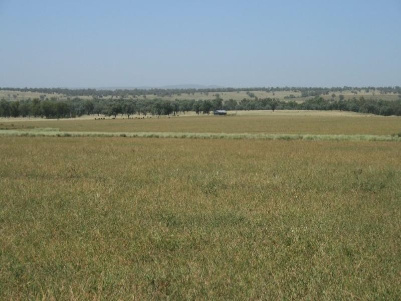 Bingara NSW 2404