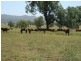Bingara NSW 2404