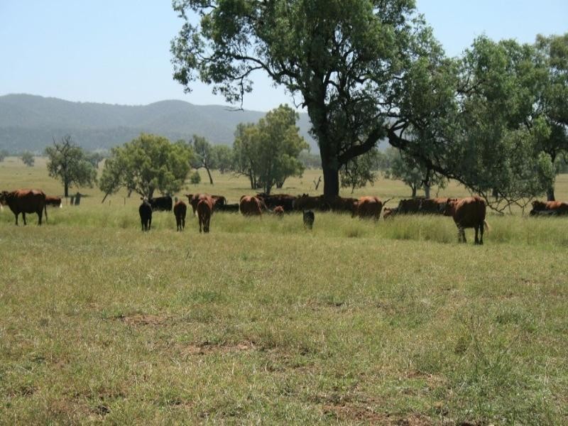 Bingara NSW 2404