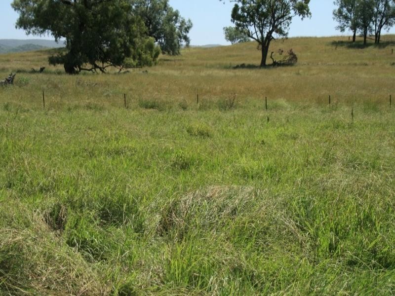 Bingara NSW 2404