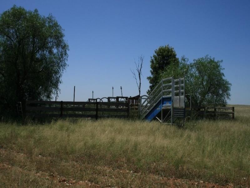 Bingara NSW 2404