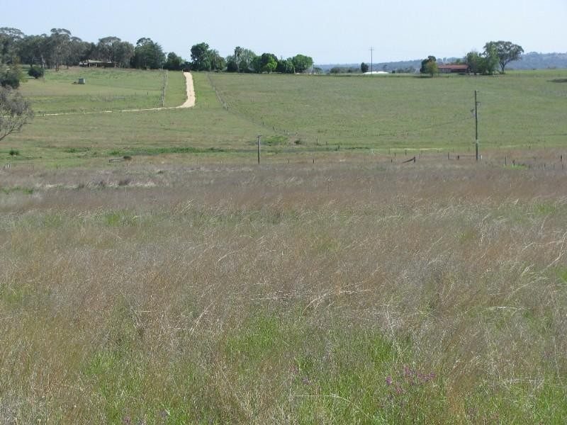 Inverell NSW 2360