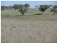 Inverell NSW 2360