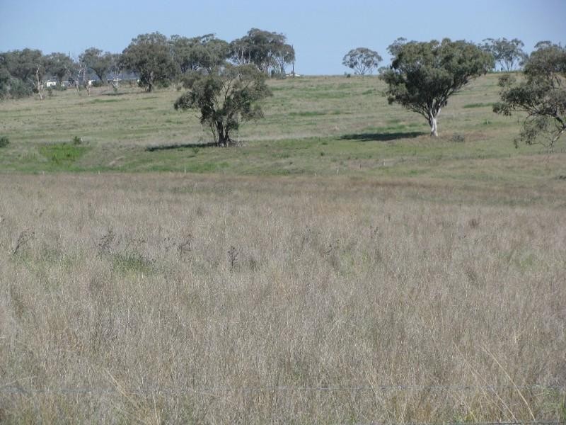 Inverell NSW 2360