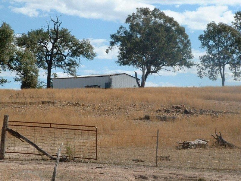 Wave Hill Ashford Road, Bonshaw NSW 2361