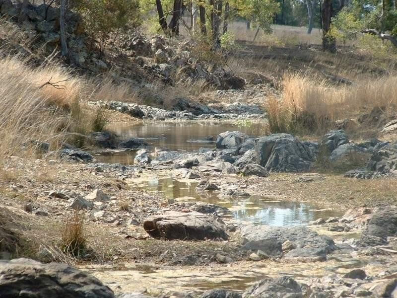 Wave Hill Ashford Road, Bonshaw NSW 2361