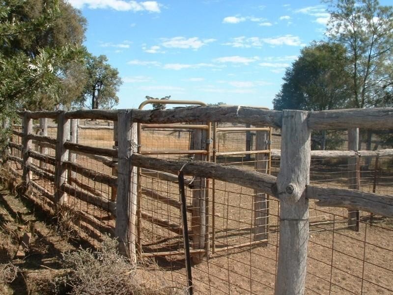 Wave Hill Ashford Road, Bonshaw NSW 2361
