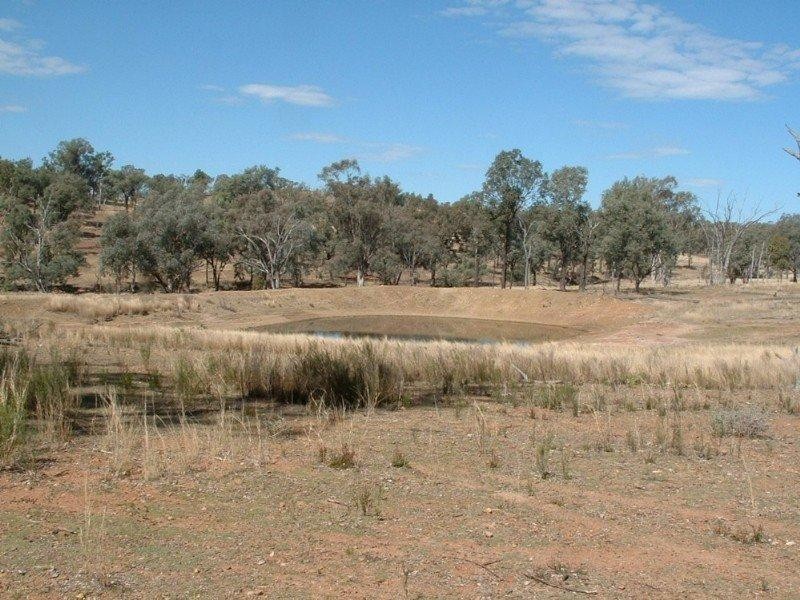 Wave Hill Ashford Road, Bonshaw NSW 2361