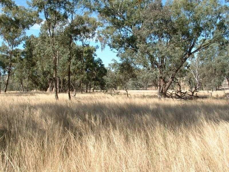 Wave Hill Ashford Road, Bonshaw NSW 2361