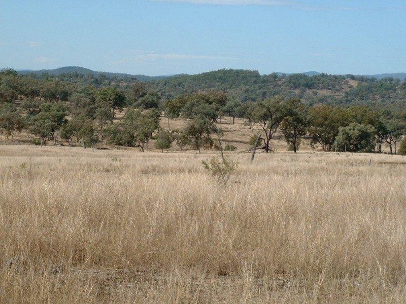 Wave Hill Ashford Road, Bonshaw NSW 2361