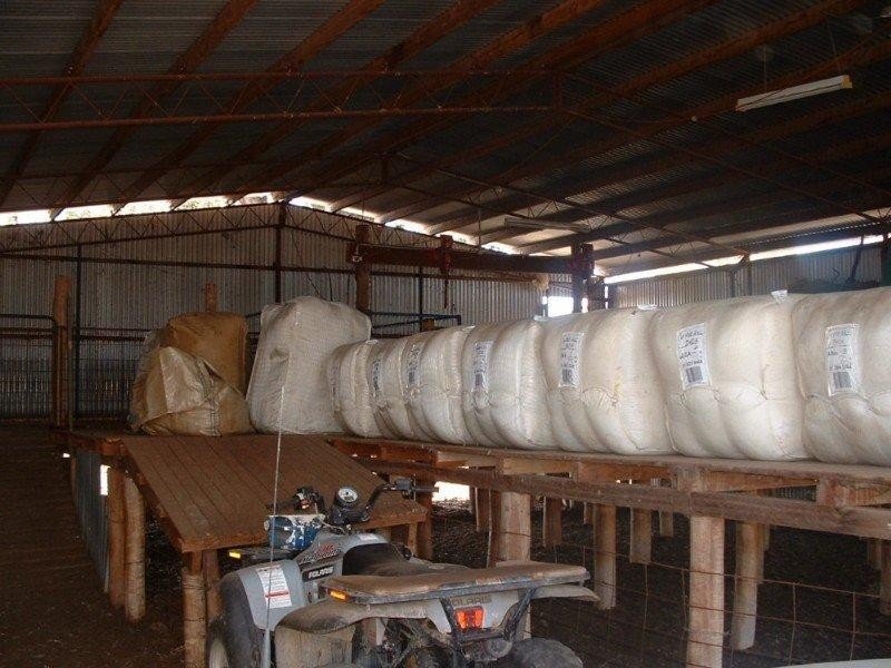 Wave Hill Ashford Road, Bonshaw NSW 2361