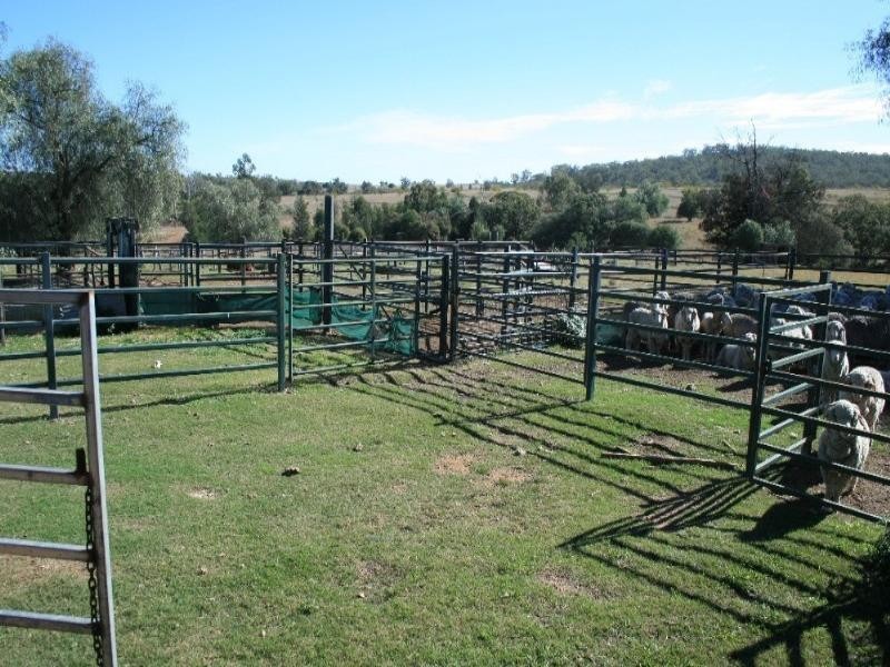 Warialda NSW 2402