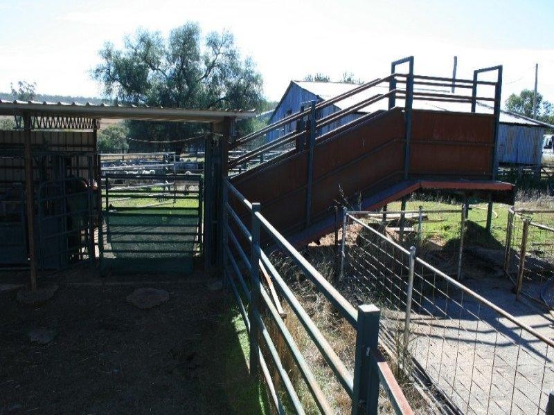 Warialda NSW 2402