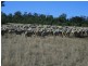 Warialda NSW 2402