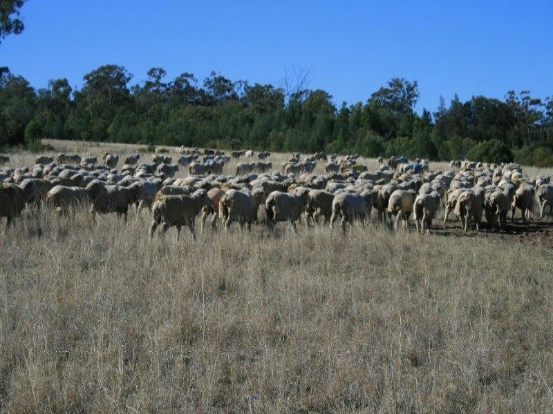 Warialda NSW 2402