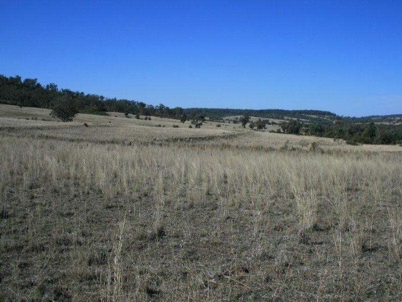 Warialda NSW 2402