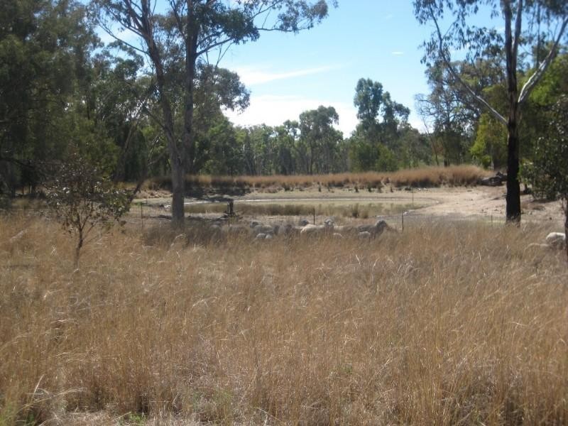 3533 Yetman Road, Inverell NSW 2360