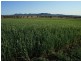 Warialda NSW 2402