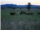 Warialda NSW 2402