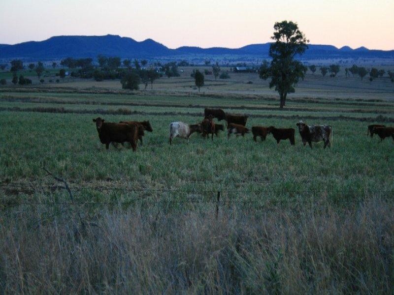 Warialda NSW 2402