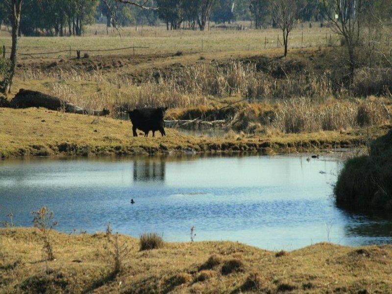 1317 Copeton Dam Road, Gum Flat NSW 2360