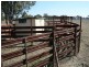 1317 Copeton Dam Road, Gum Flat NSW 2360