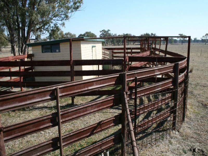1317 Copeton Dam Road, Gum Flat NSW 2360
