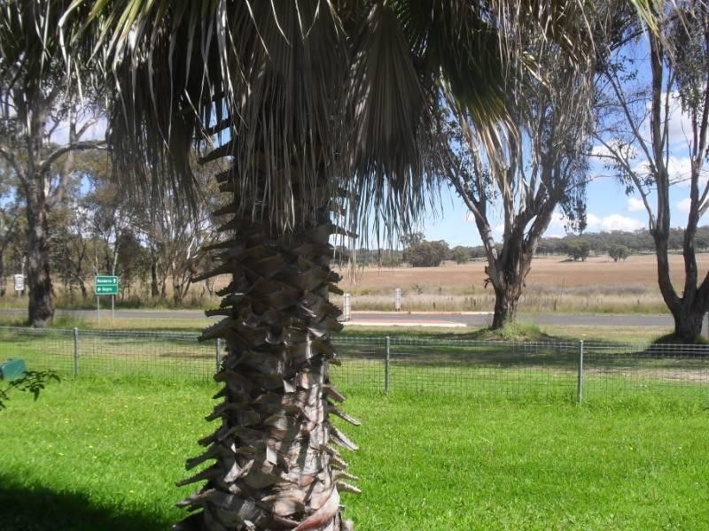 3624 Bundarra Road, Gilgai NSW 2360