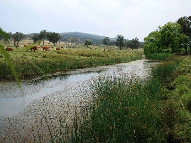 Glen Innes NSW 2370