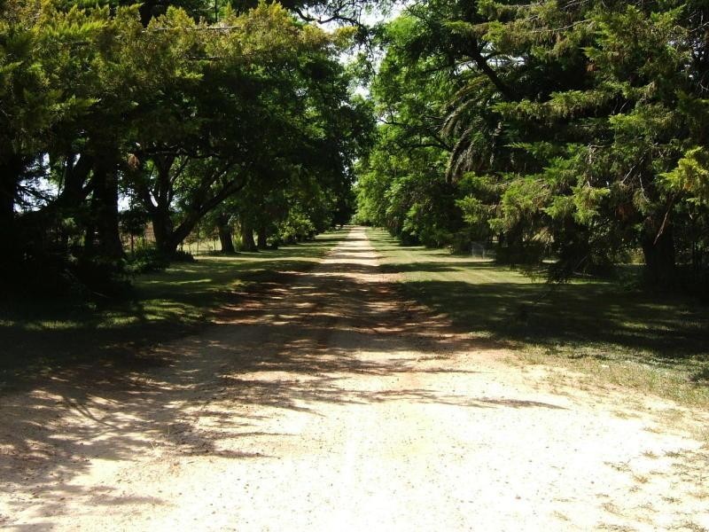 Mount Russell NSW 2360