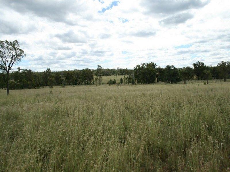 Suffolk Downs Baltimore Loop Road, Bonshaw NSW 2361