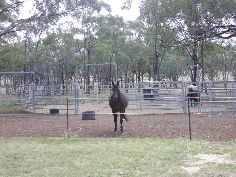 Mount Russell NSW 2360