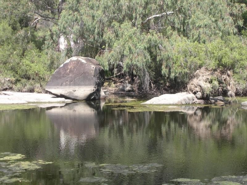 1823 Apple Tree Flat, Ashford NSW 2361