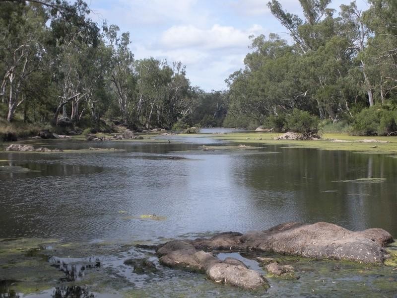 1823 Apple Tree Flat, Ashford NSW 2361