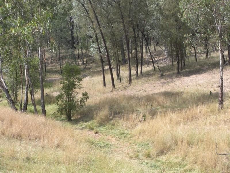 1823 Apple Tree Flat, Ashford NSW 2361