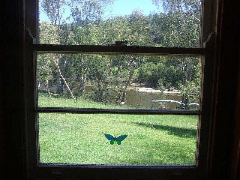 1823 Apple Tree Flat, Ashford NSW 2361