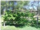 1823 Apple Tree Flat, Ashford NSW 2361