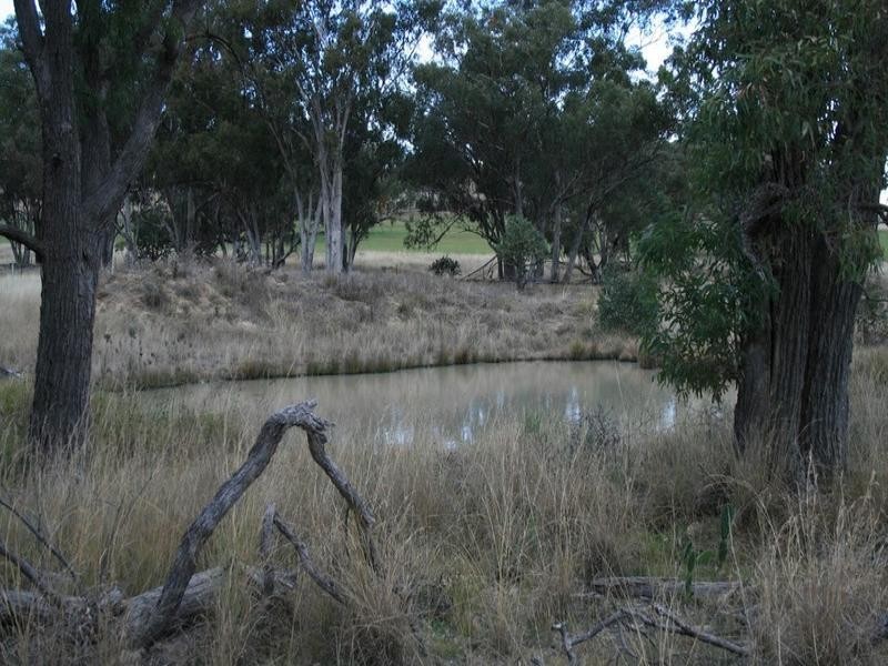 Inverell NSW 2360