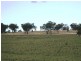 Inverell NSW 2360