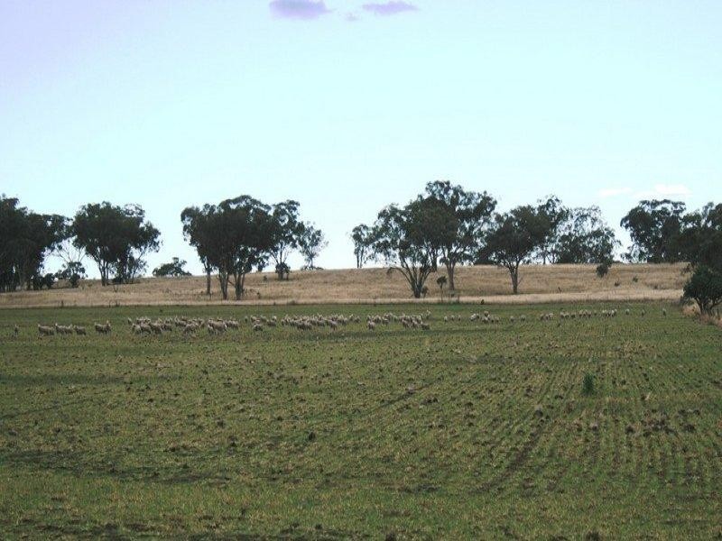 Inverell NSW 2360