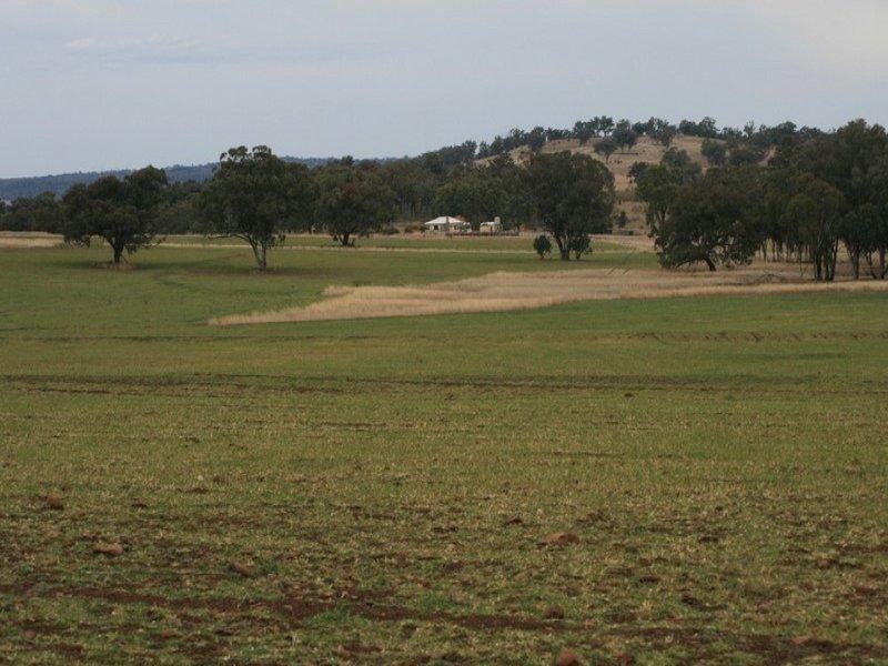 Inverell NSW 2360