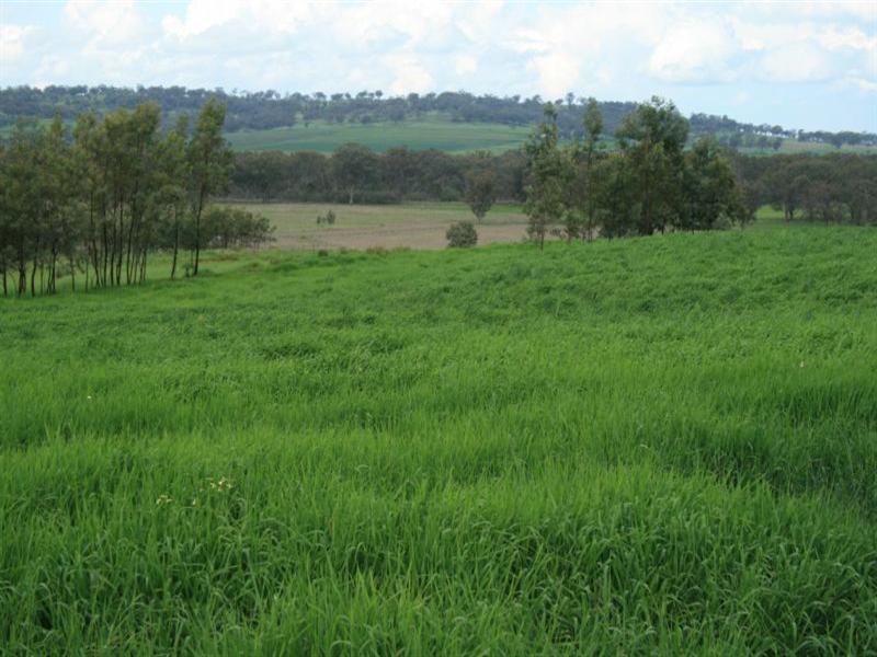 “Glamis” 717 Rob Roy Road, Inverell NSW 2360