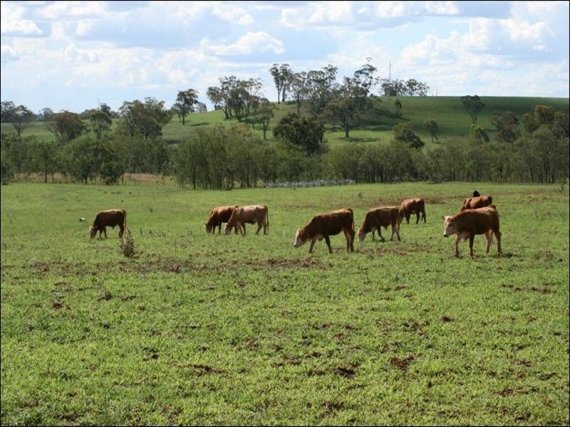 Little Plain NSW 2360