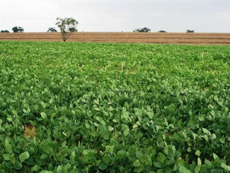 Allawa 734 Lecoin Road, Inverell NSW 2360