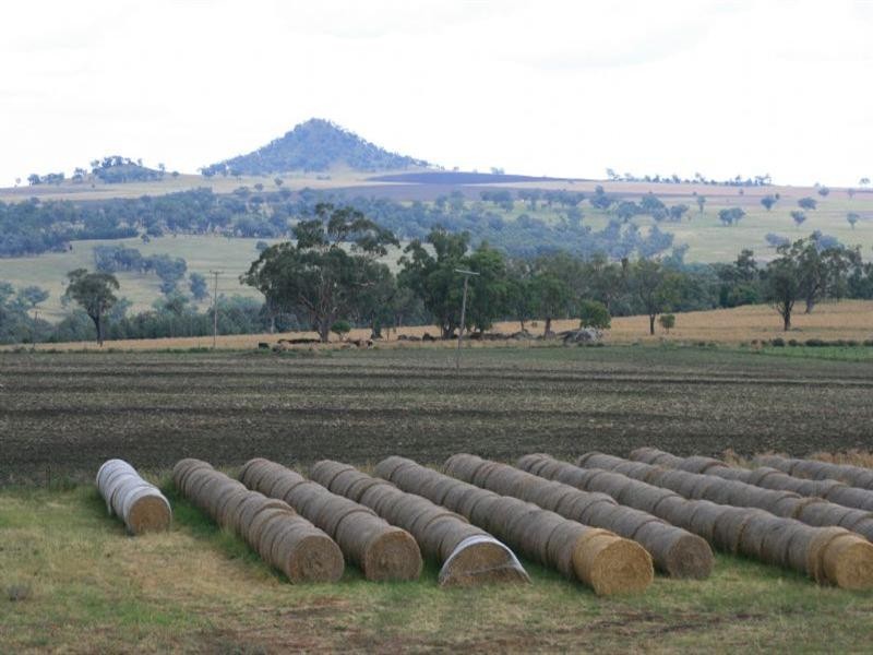 Allawa 734 Lecoin Road, Inverell NSW 2360