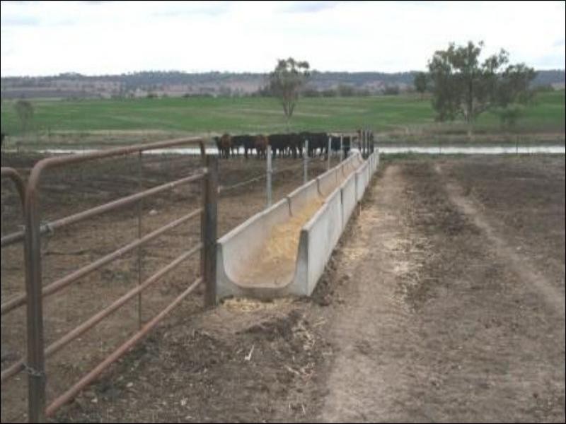 Allawa 734 Lecoin Road, Inverell NSW 2360