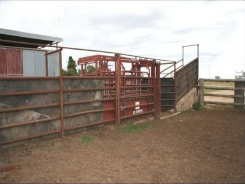 Allawa 734 Lecoin Road, Inverell NSW 2360